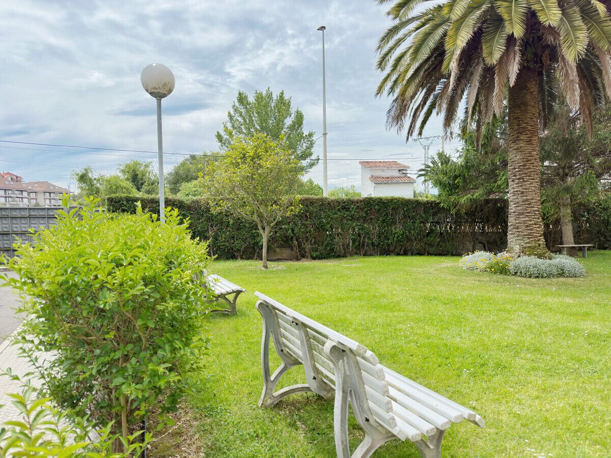 Un parc amb una cadira, un fanal i una palmera.