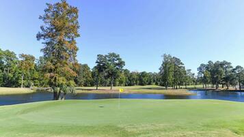 Golfe