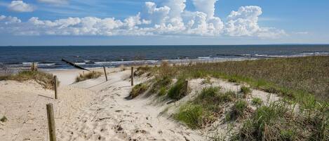 Ein sandiger Küstenpfad führt zum Meer, begleitet von einem Holenzaun und grasbewachsenen Dünen.