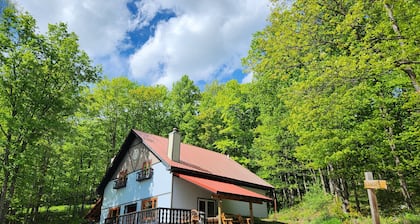 Peaceful Updated Ski Chalet across the street from Ski Brule Mountain -LEFT Side