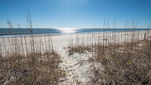 Une plage de sable avec une végétation clairsemée.