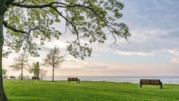 Un parc verdoyant, doté de bancs et d’arbres, qui offre une vue sur une étendue d’eau.
