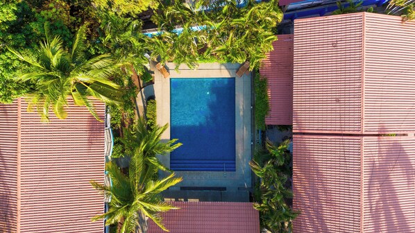 A rooftop pool surrounded by palm trees and red-tiled walls.