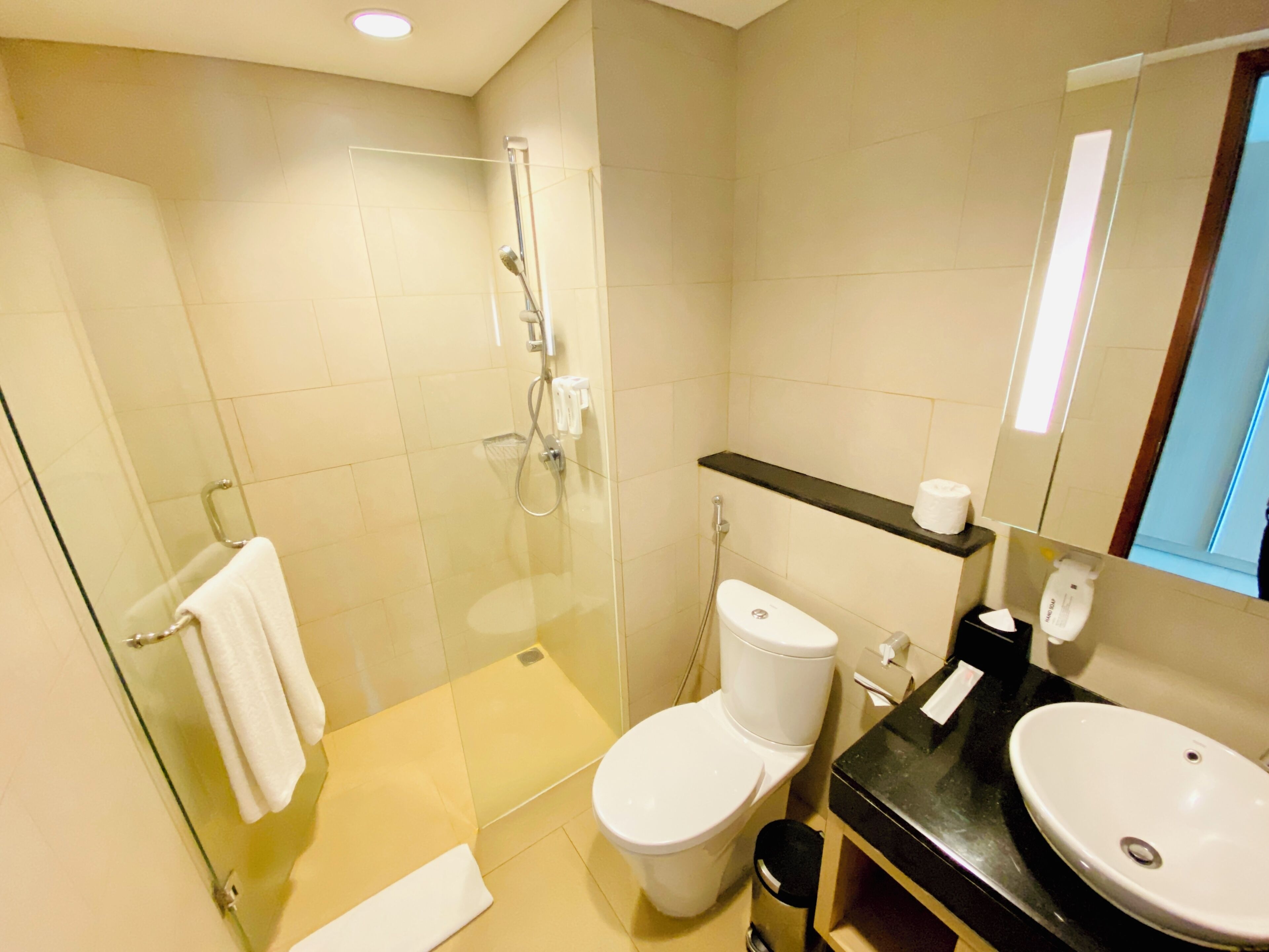 A modern bathroom with a glass-enclosed shower, a white toilet, and a black sink.