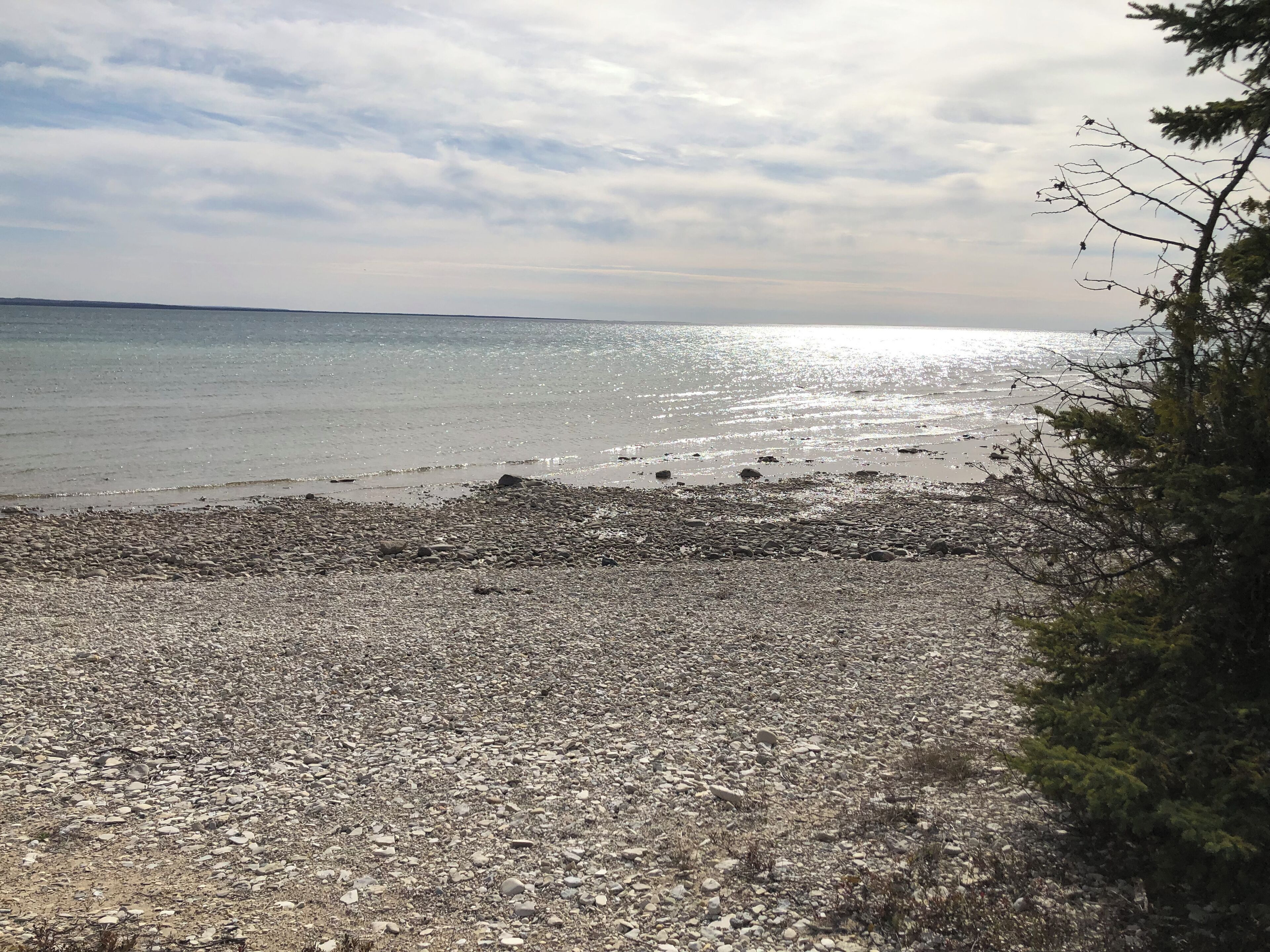 Tovalloles de platja 