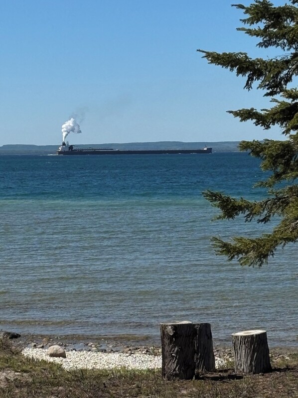 A large ship with smoke visible, a calm body of water, and a rocky shoreline with two wooden stumps.