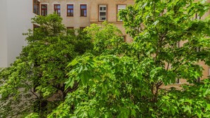 Un edifici amb diverses finestres i un teulat vermell, envoltat d'arbres verds i frondosos.