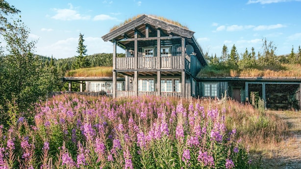 Een houten chalet met een balkon, omgeven door wilde bloemen en een beboste helling.