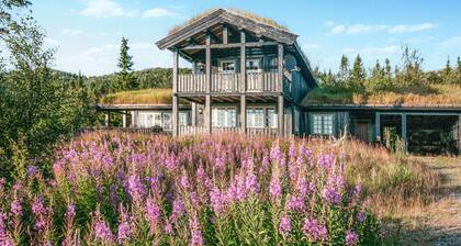 5 bedroom gorgeous home in Engerdal