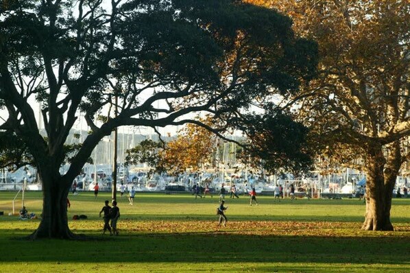 Un parc avec de grands arbres et des gens qui s’amusent.