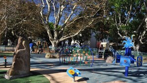 Un'area giochi con strutture per arrampicata, un grande albero e una zona giochi blu e gialla.