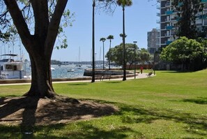 A park with a large tree, a grassy area, and a view of boats on the water.