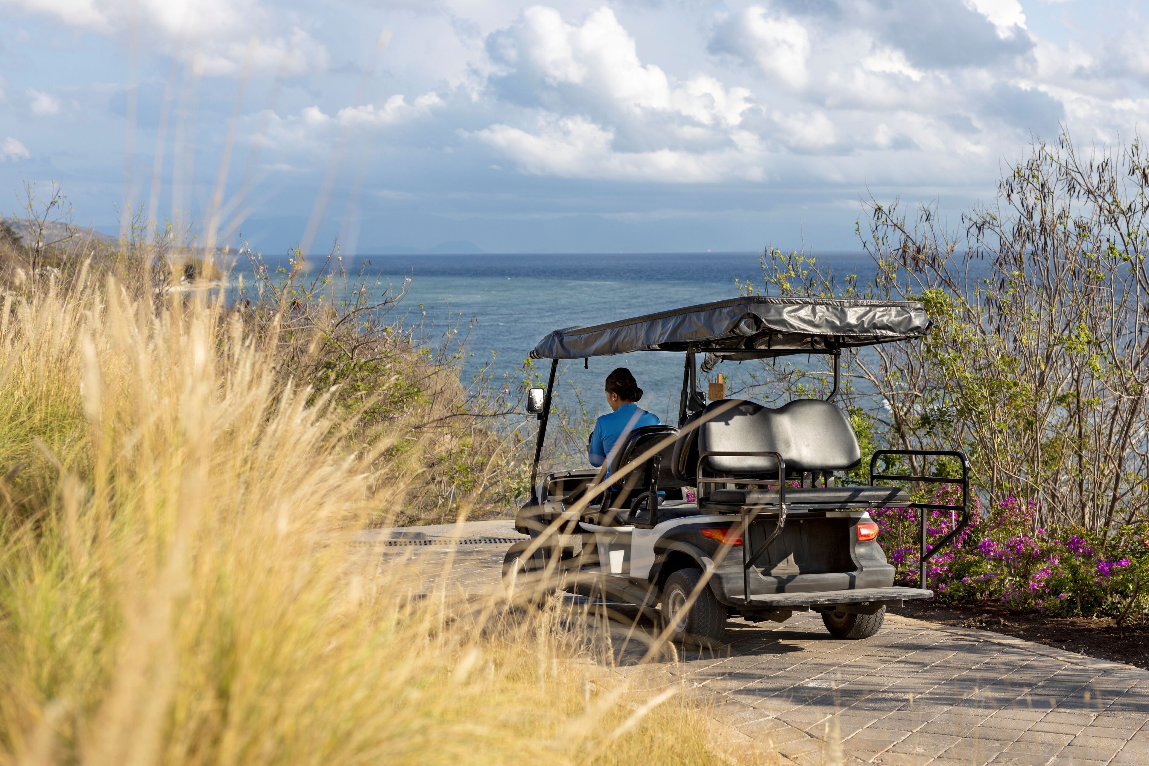 A golf cart parked on a paved path with a view of the sea and vegetation.