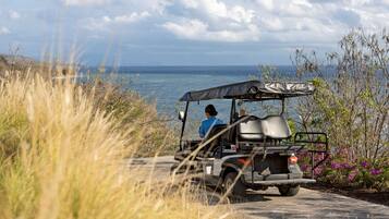 A golf cart parked on a paved path with a view of the sea and vegetation.