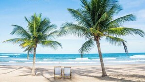 Une plage avec deux palmiers et une paire de chaises vides, face à l’océan.