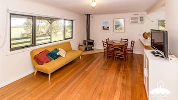 TV, fireplace, DVD player, books