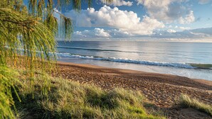 Une plage avec des vagues, du sable et quelques touffes d’herbe.