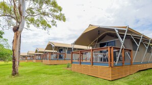 Une rangée de tentes modernes et spacieuses, dotées d’un toit plat et d’une structure en bois, est installée sur une pelouse, avec un arbre à gauche.