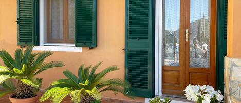 Un bâtiment avec deux fenêtres et une porte, chacune dotée de volets verts. Des plantes en pot sont placées devant les fenêtres et la porte.