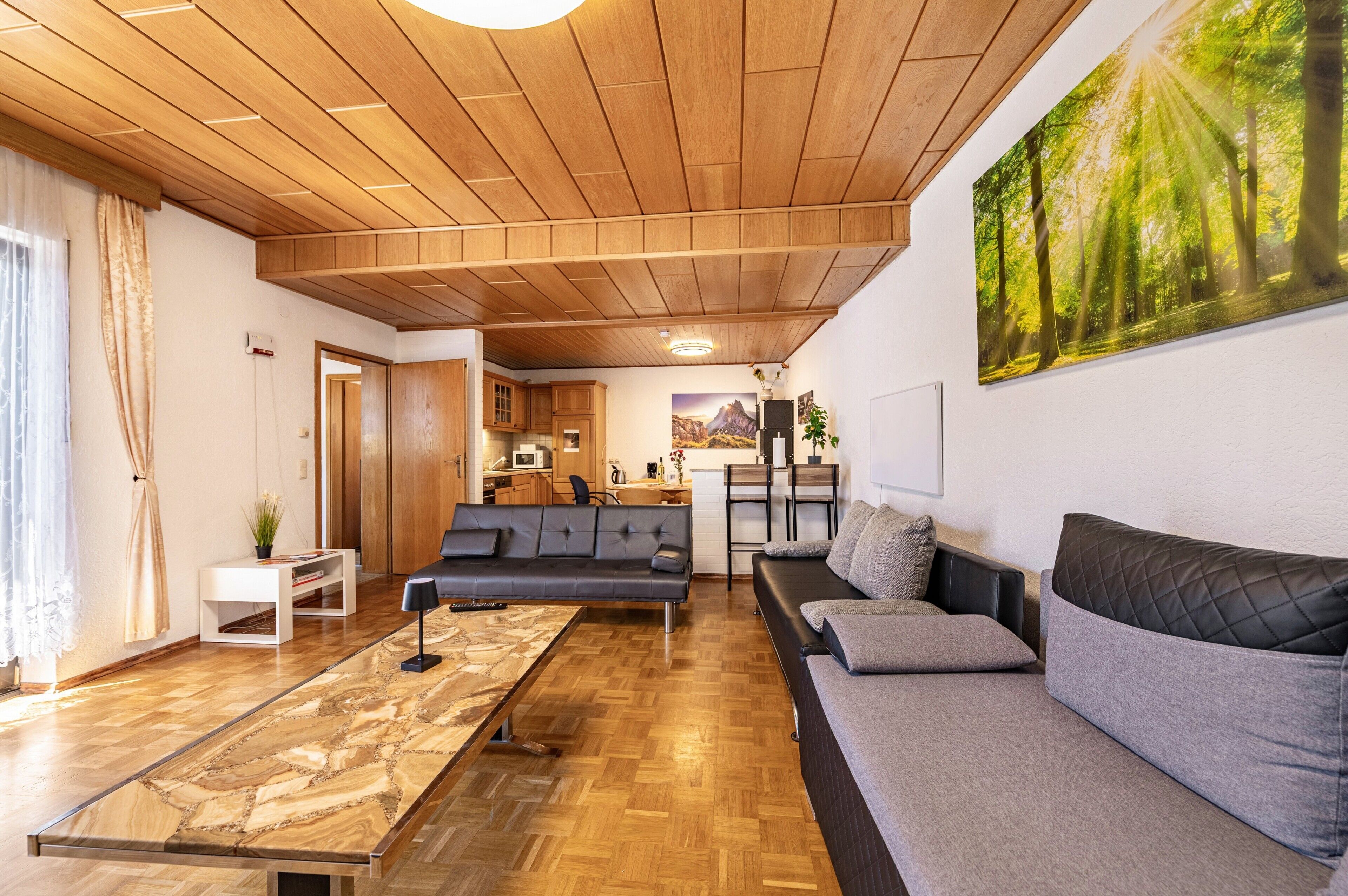 Fernseher