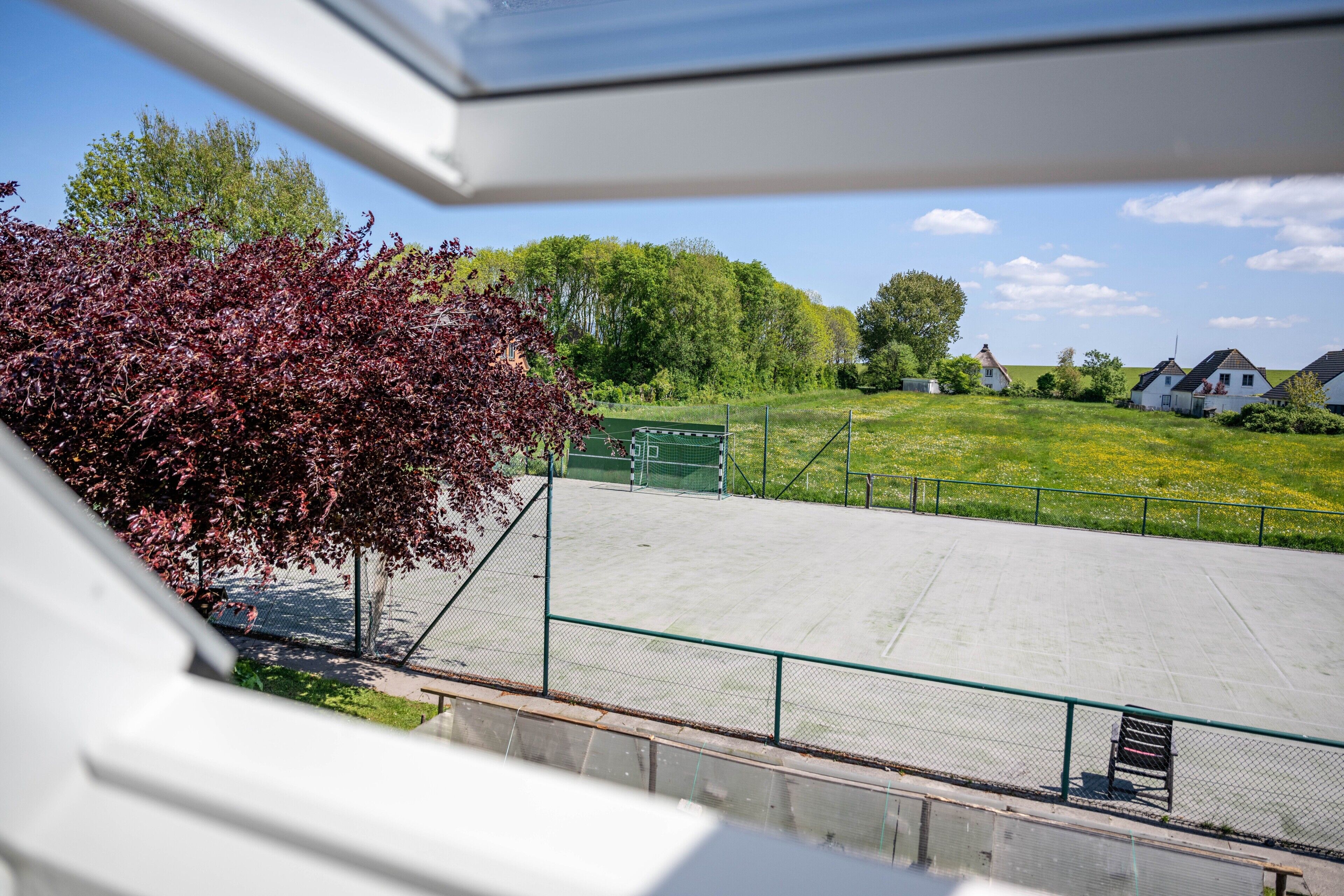 Sportveld