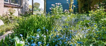 Apartment 'Jule' with Shared Terrace, Shared Garden and Wi-Fi