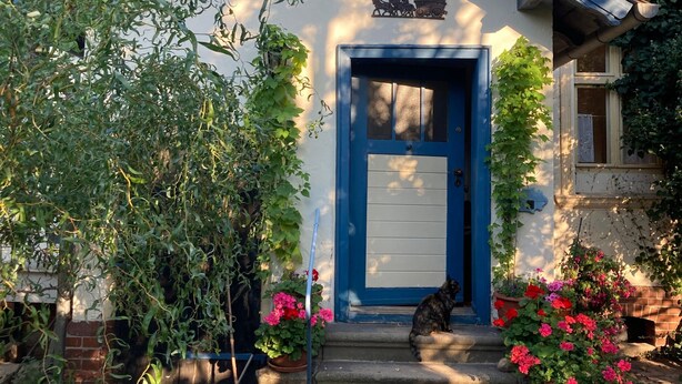 A house with a blue door, a small garden with potted plants, and a clear blue sky. - Holiday Home 'Ferienhaus Im Spreewald' with Private Terrace, Shared Garden and Wi-Fi (Märkische Heide)