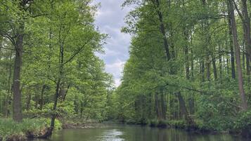 Une rivière bordée d’arbres verdoyants et touffus.