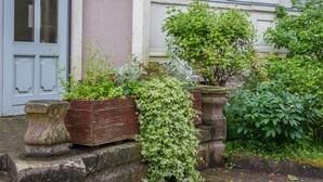 A stone planter with a plant, a wooden planter with a plant, and a hedge in front of a building. - Studio Apartment 'Ferienwohnung 3' with Shared Terrace, Shared Garden (Krakow am See)