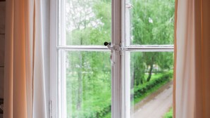 Ein Fenster mit Blick auf Grün und eine Straße.