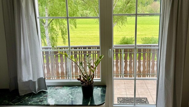 A room with a large window, curtains, a potted plant, and a view of a green landscape. - Apartment 'Fuldawiesen' with Balcony and Wi-Fi (Schlitz)