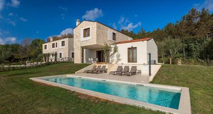 Beautiful home in Visnjan