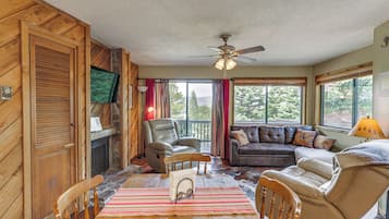 TV, fireplace