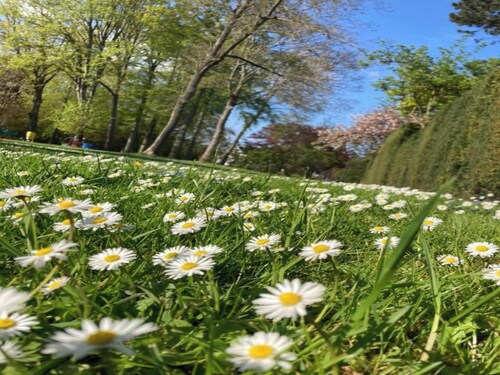 Roya’s Home private studio