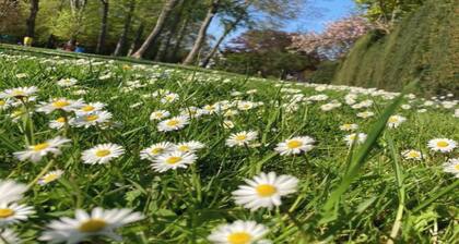 Roya’s Home private studio