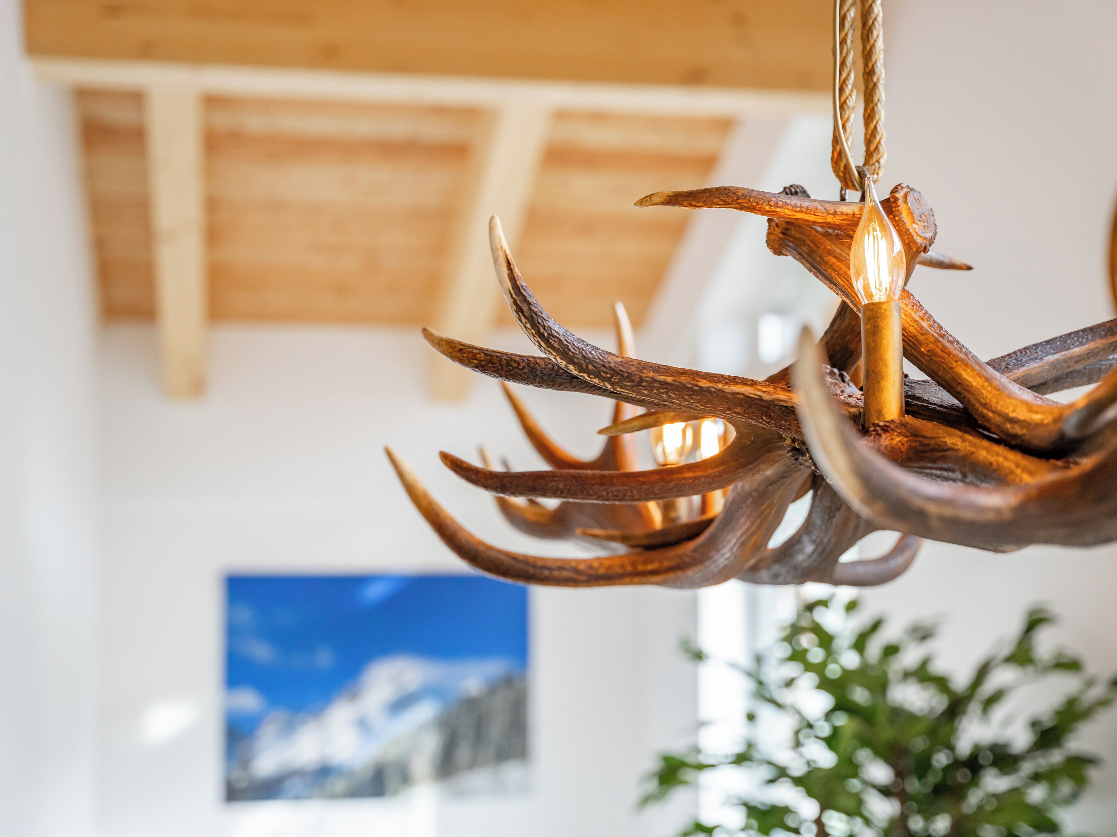 A chandelier made of antlers in a room with wooden beams and a framed picture on the wall.
