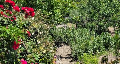 Cozy eco two-room apartment near Matera with kitchen,parking,green