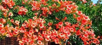 Cozy eco two-room apartment near Matera with kitchen,parking,green