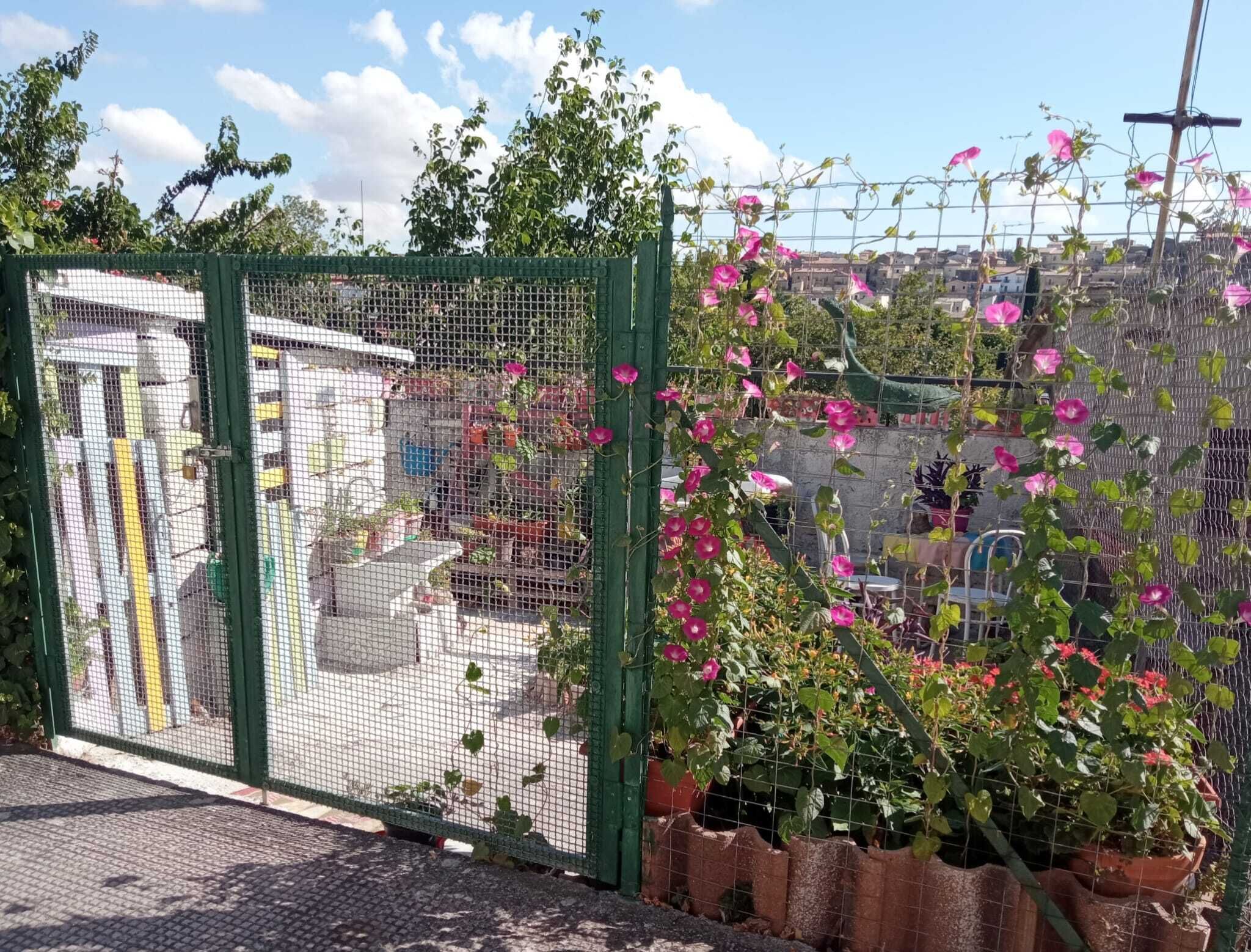 A fenced garden area with flowering plants and a gate.