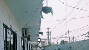 Un pasillo estrecho con suelo de baldosas, macetas a ambos lados y plantas colgantes.