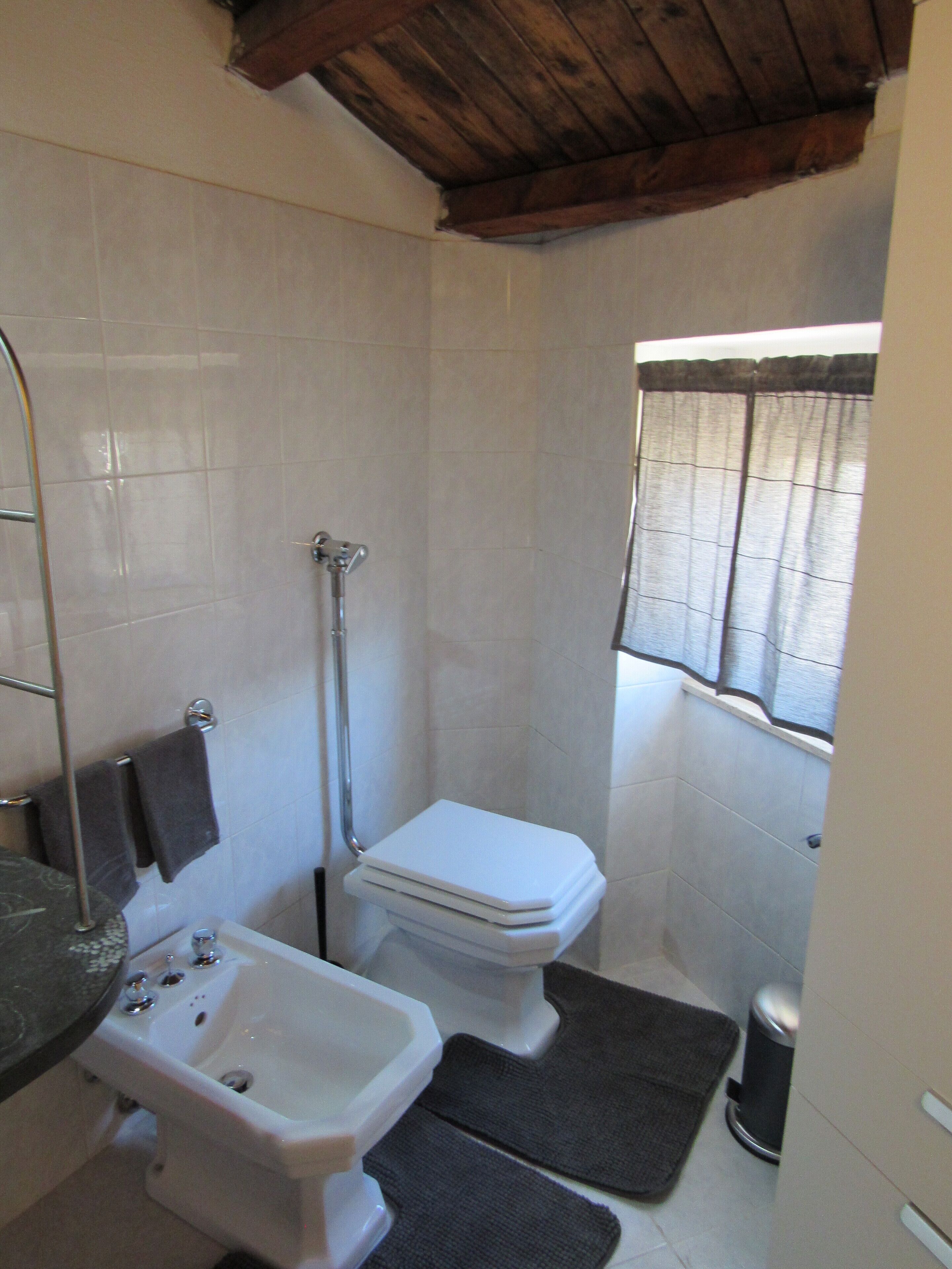 Dusche, Haartrockner, Bidet, Handtücher