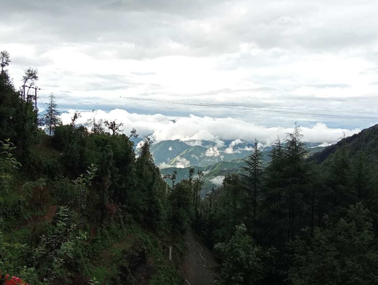 Un paysage montagneux avec un sentier qui traverse une forêt dense.