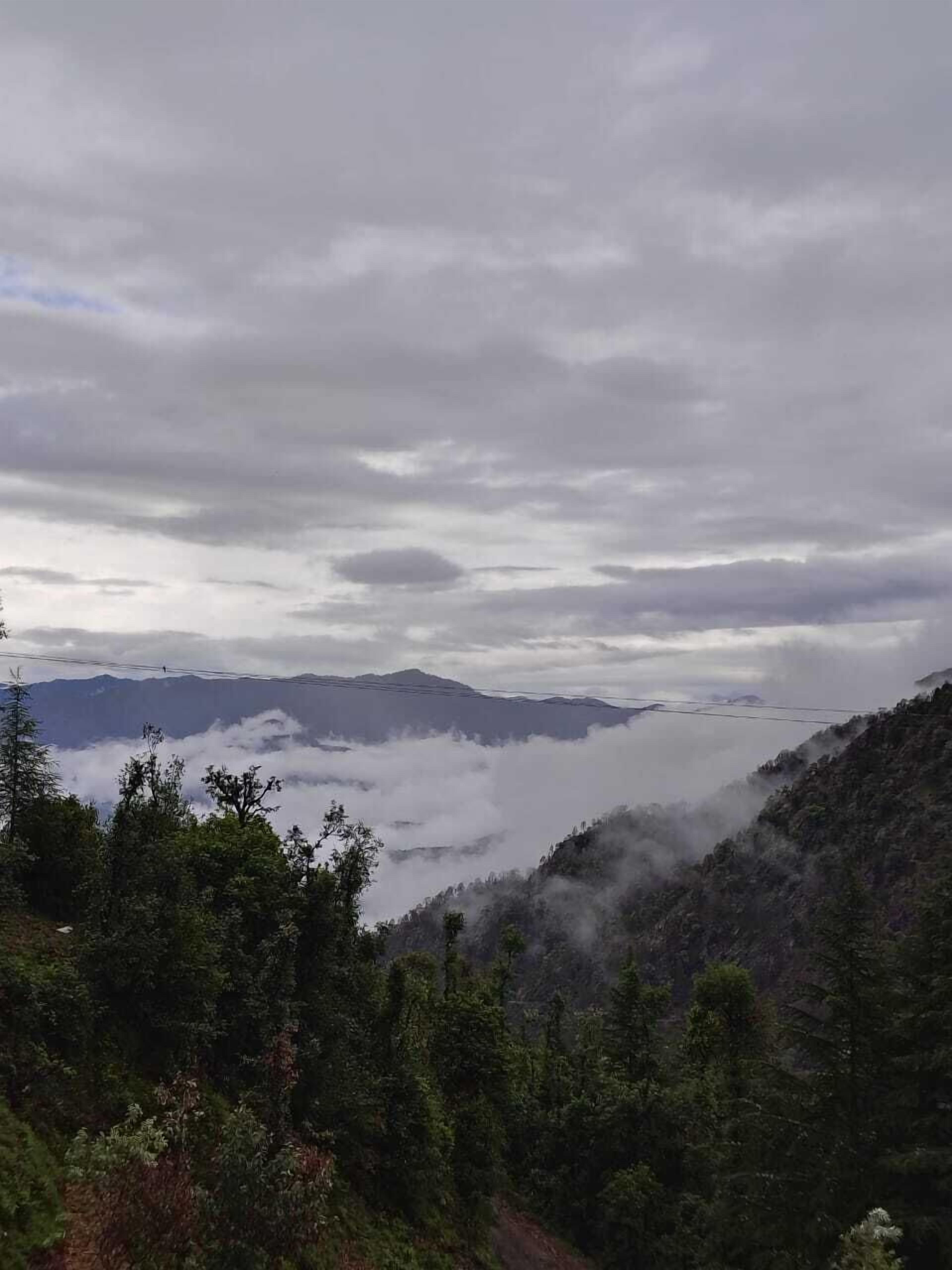 A mountainous landscape with dense forest and a valley below.