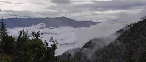 A mountainous landscape with dense forest and a valley below.