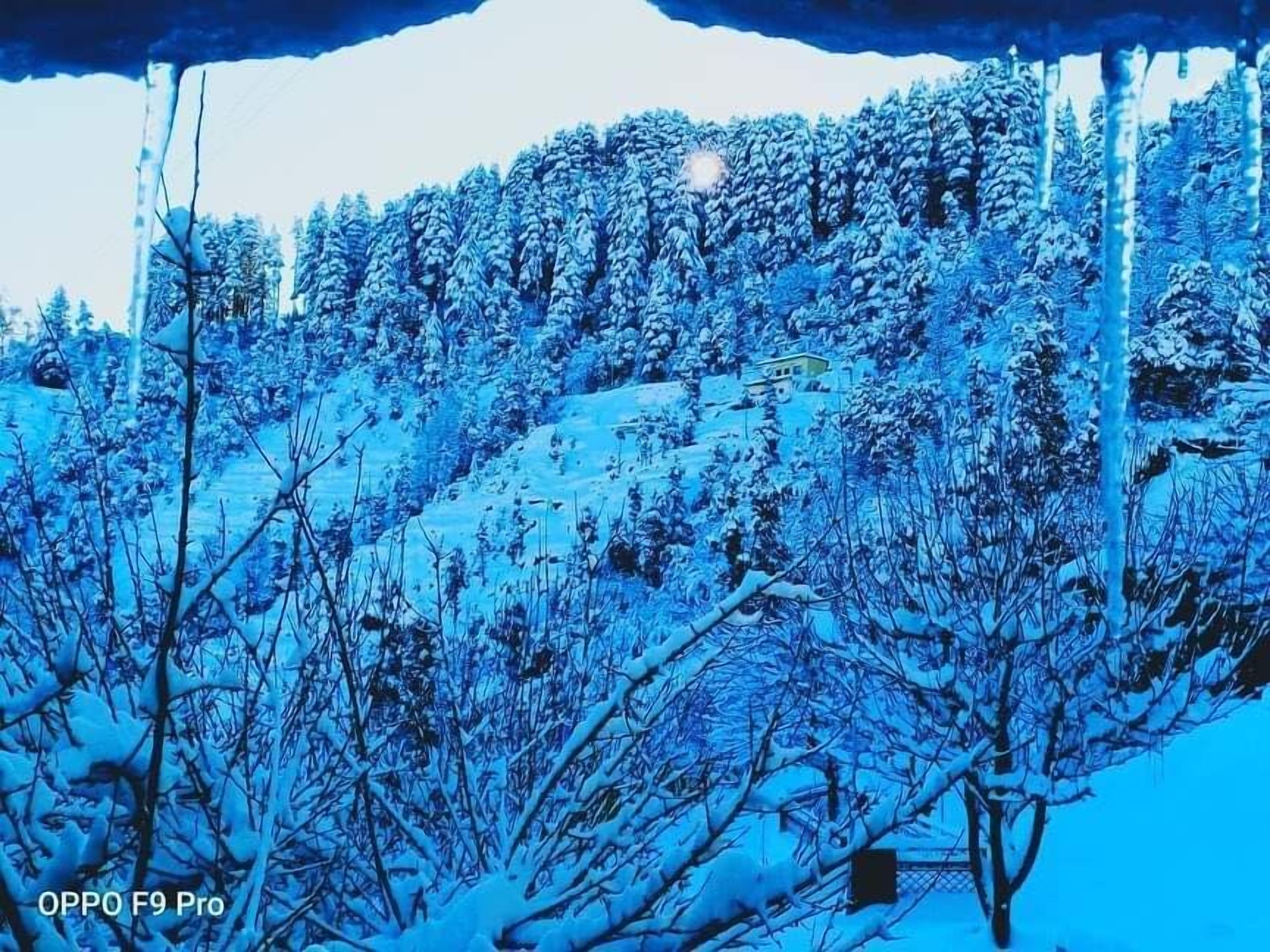Paesaggio innevato con alberi e un edificio.