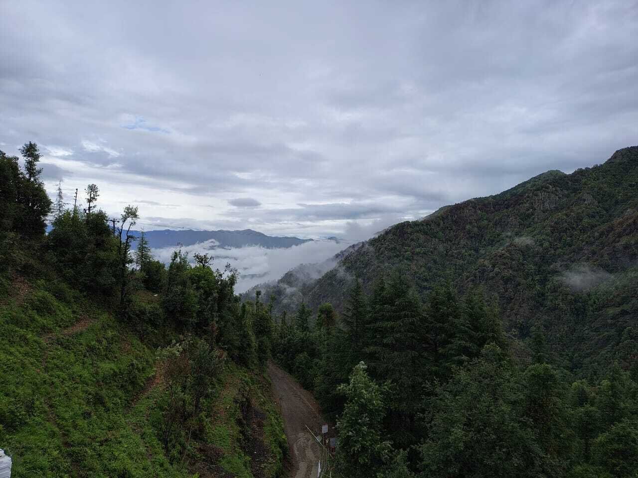 Un paisaje montañoso con un sendero de tierra que serpentea a través de un bosque denso.