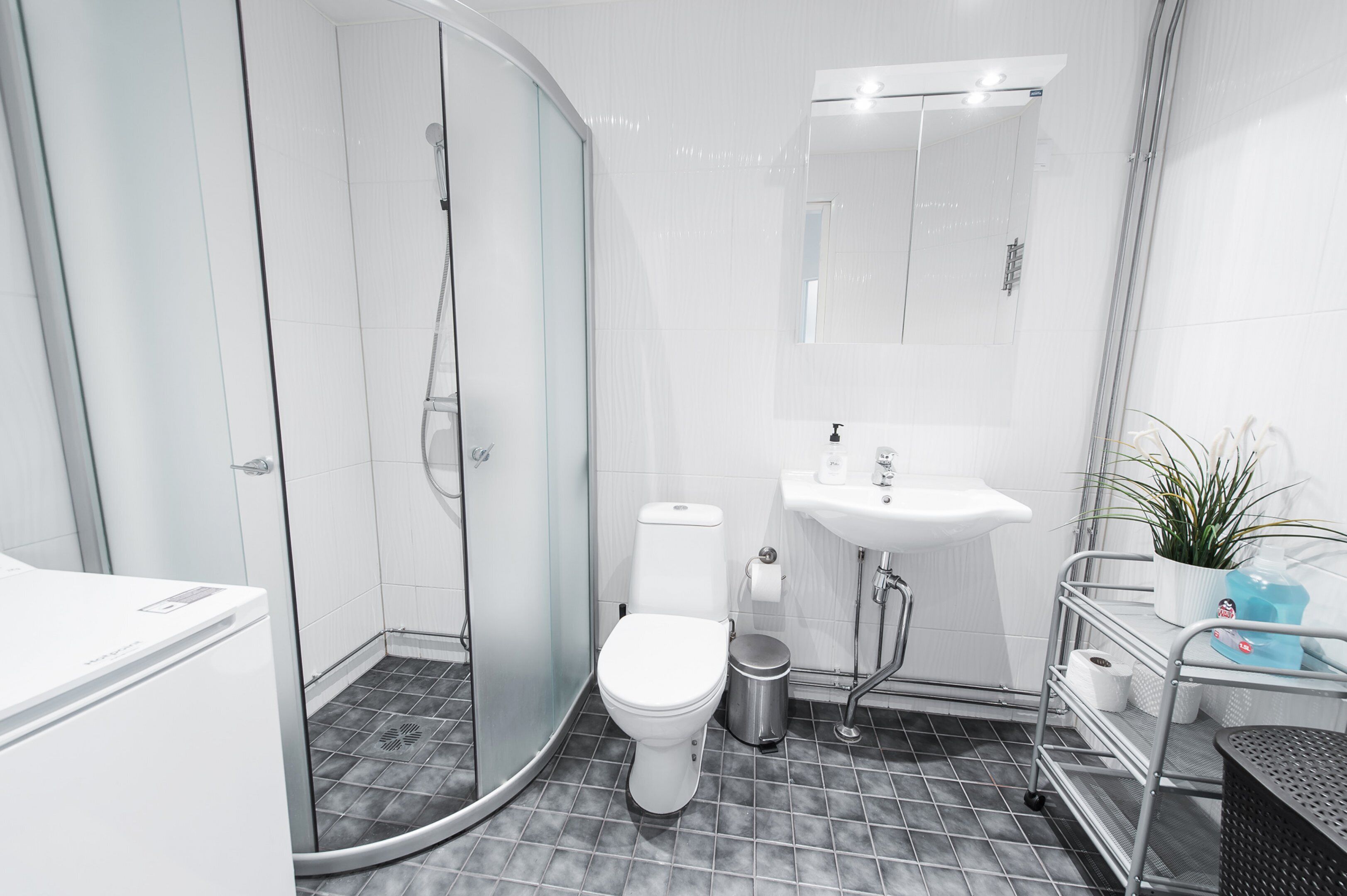 A modern bathroom with a glass-enclosed shower, a white toilet, a sink with a mirror above, and a small trash bin.