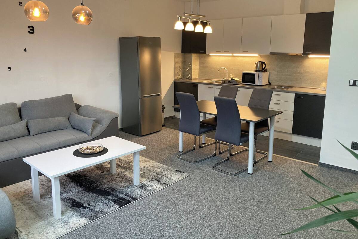 Leilighet – deluxe | Eget kjøkken | Kjøleskap, mikrobølgeovn, kokeplater og kjøkkenutstyr