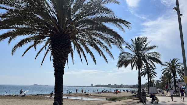 Ein Strand mit Palmen, einer Promenade und Blick auf das Meer.