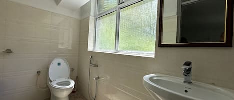 A bathroom with a toilet, a sink, and a window.
